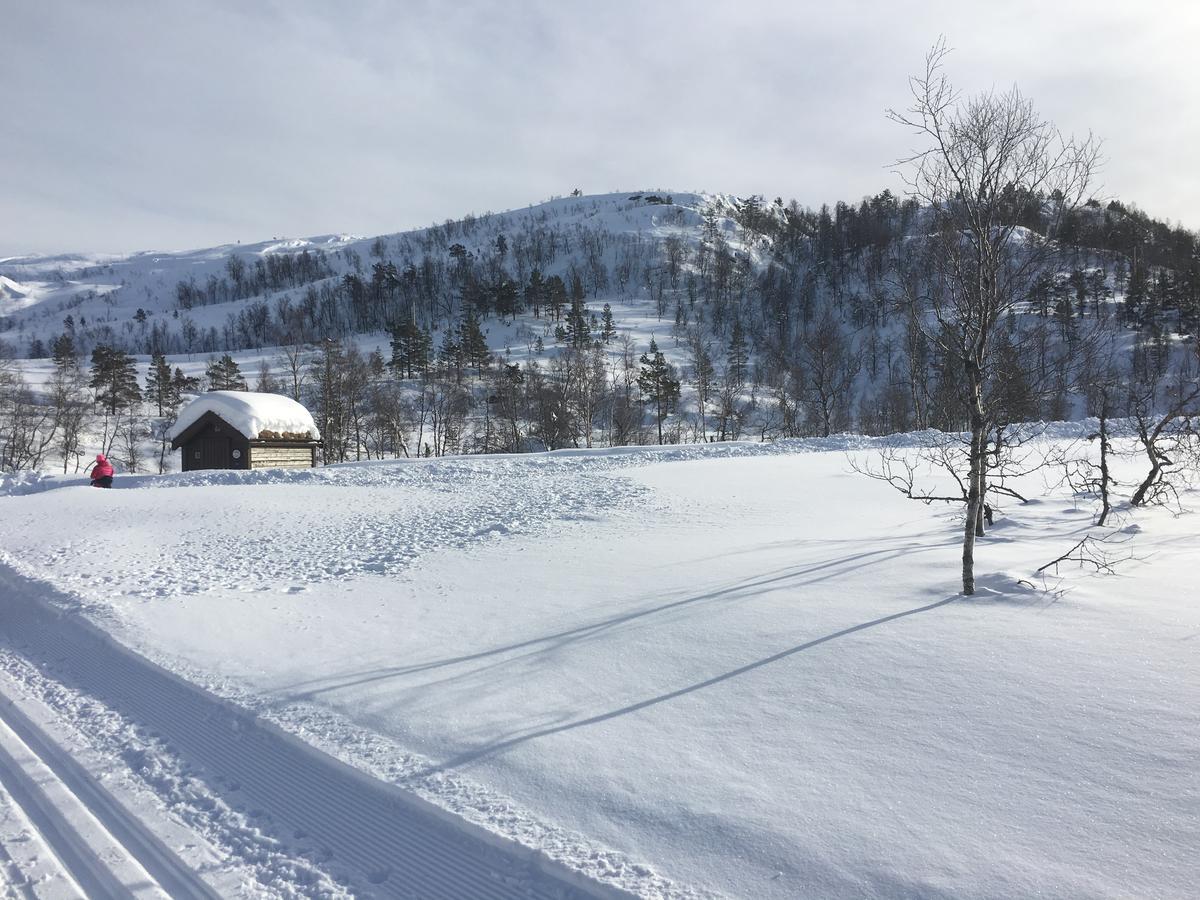 Kvamseter Lodge Eikedalen Bagian luar foto